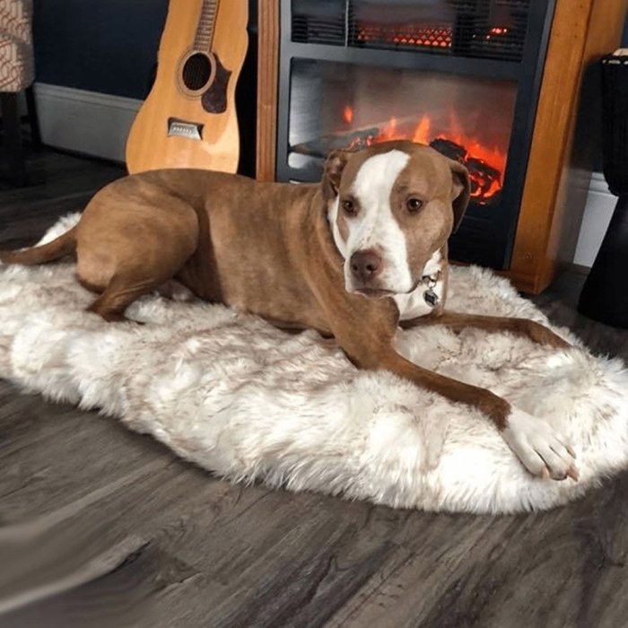 FLUFFY LONG PLUSH WARM PET BLANKET