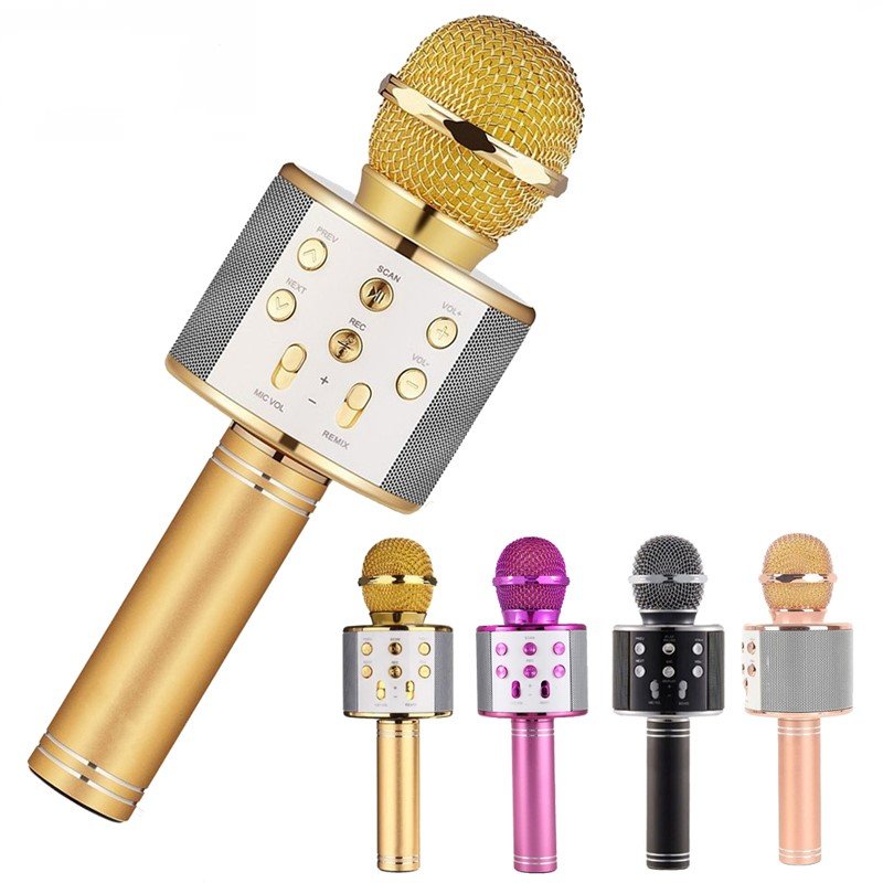 Wireless Microphone Portable